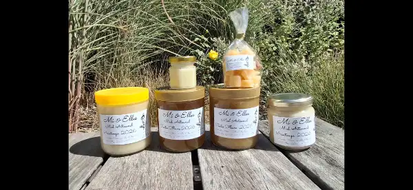 Miel printemps ( colza ), miel d’été toutes fleurs