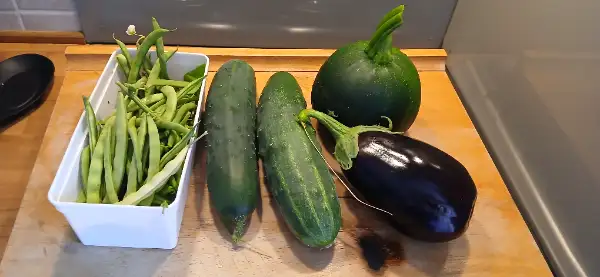 Courgette ronde, concombre, potirons , aubergine , tomates cerises, potirons