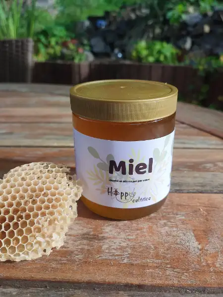 Miel de fleurs d'été ou printemps