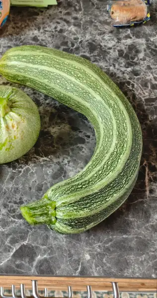 Courgette