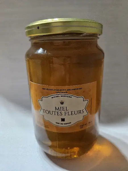 Miel de fleurs printemps