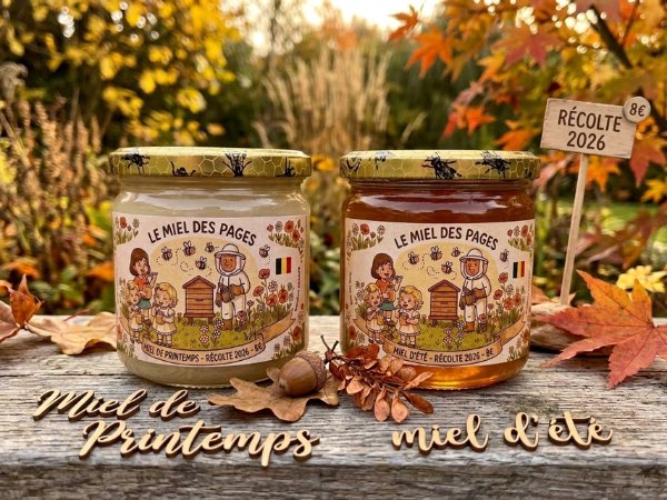 Miel de printemps et miel d’été