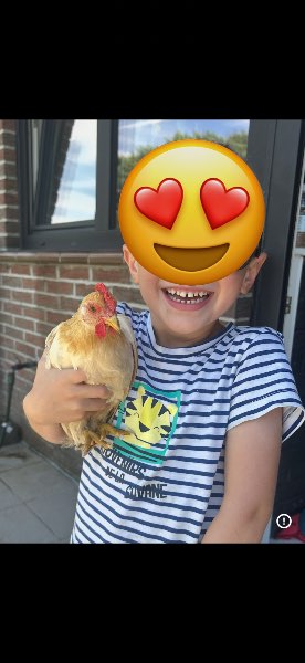 Œufs ramassés avec Amour