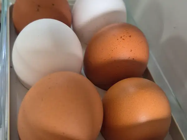 Oeufs pondus avec amour