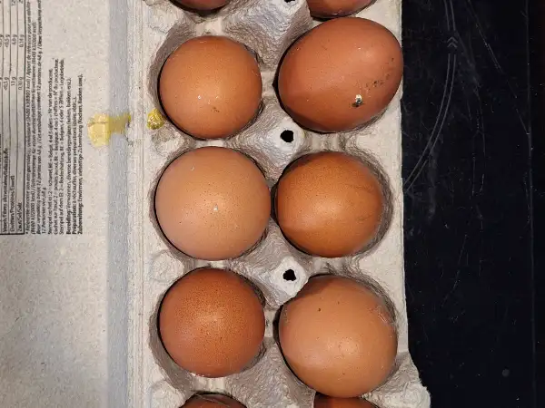 Oeufs frais de mes poules