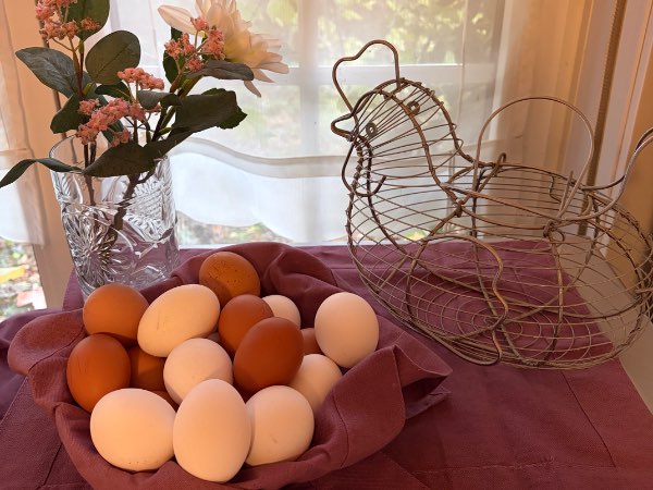 Du jardin à votre assiette