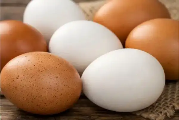 Œufs  de  mes poules