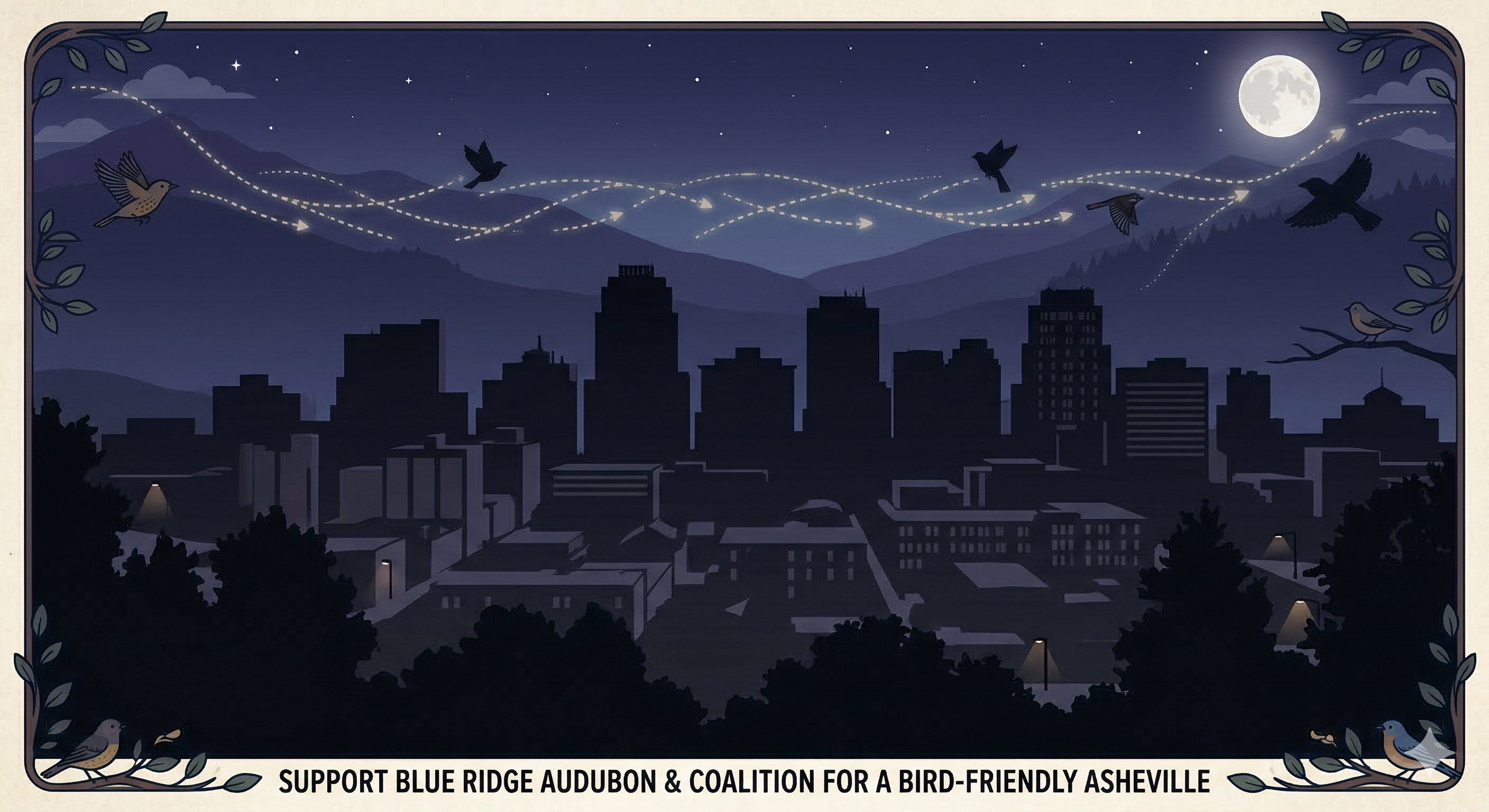 Spring Bird Migration: Lights Out, How Asheville Can Save Our Feathered Friends