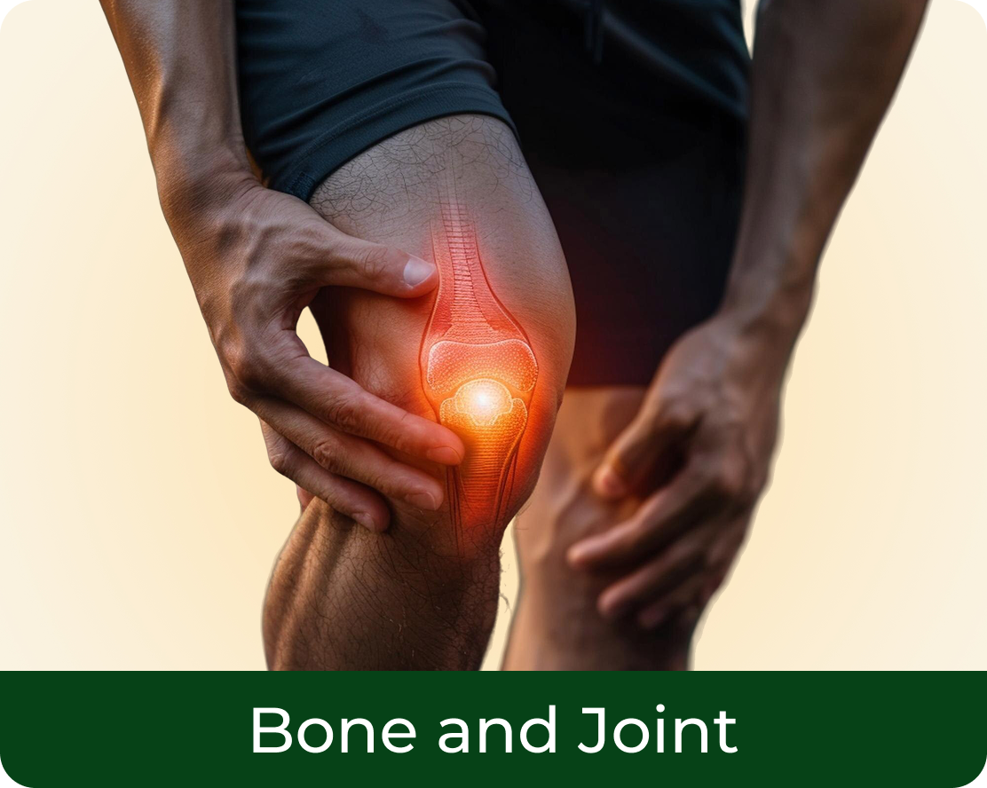 Bone and Joint