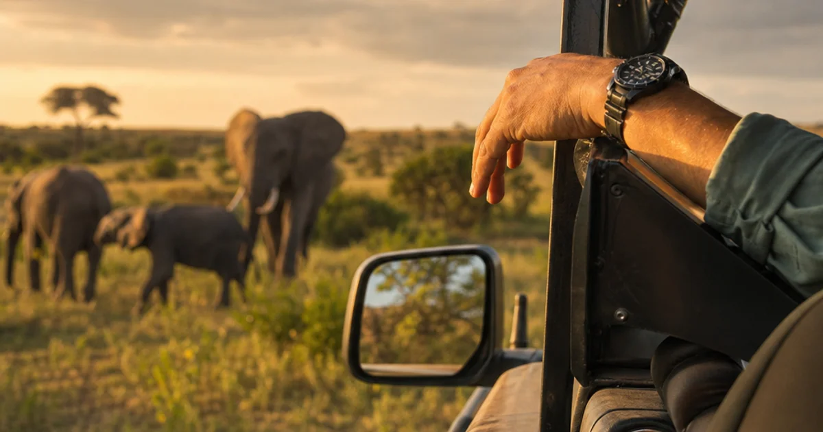 How Safari Conservancies and Private Concessions Work: Access, Wildlife, and Pricing Explained