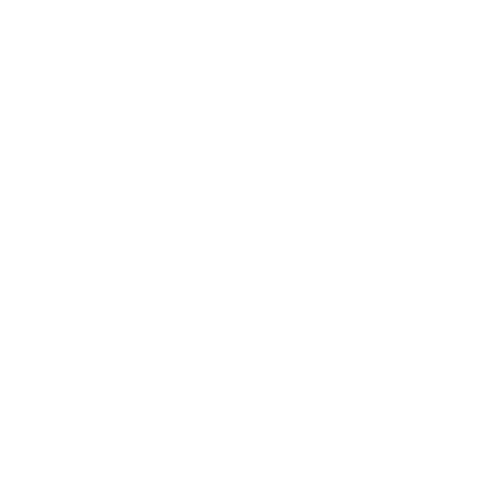 Will Torres Logo
