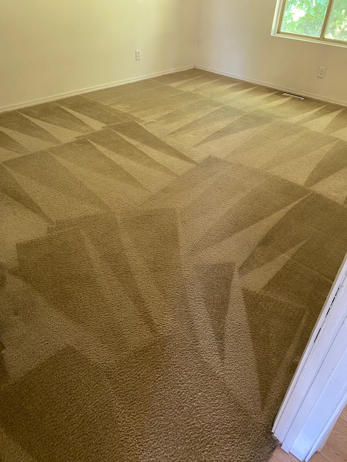 Steam A Way Carpet Cleaning gallery 2