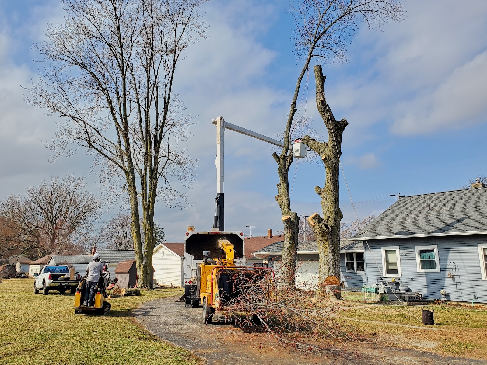 Infinity Outdoor Services | Tree Services Fort Wayne gallery 2