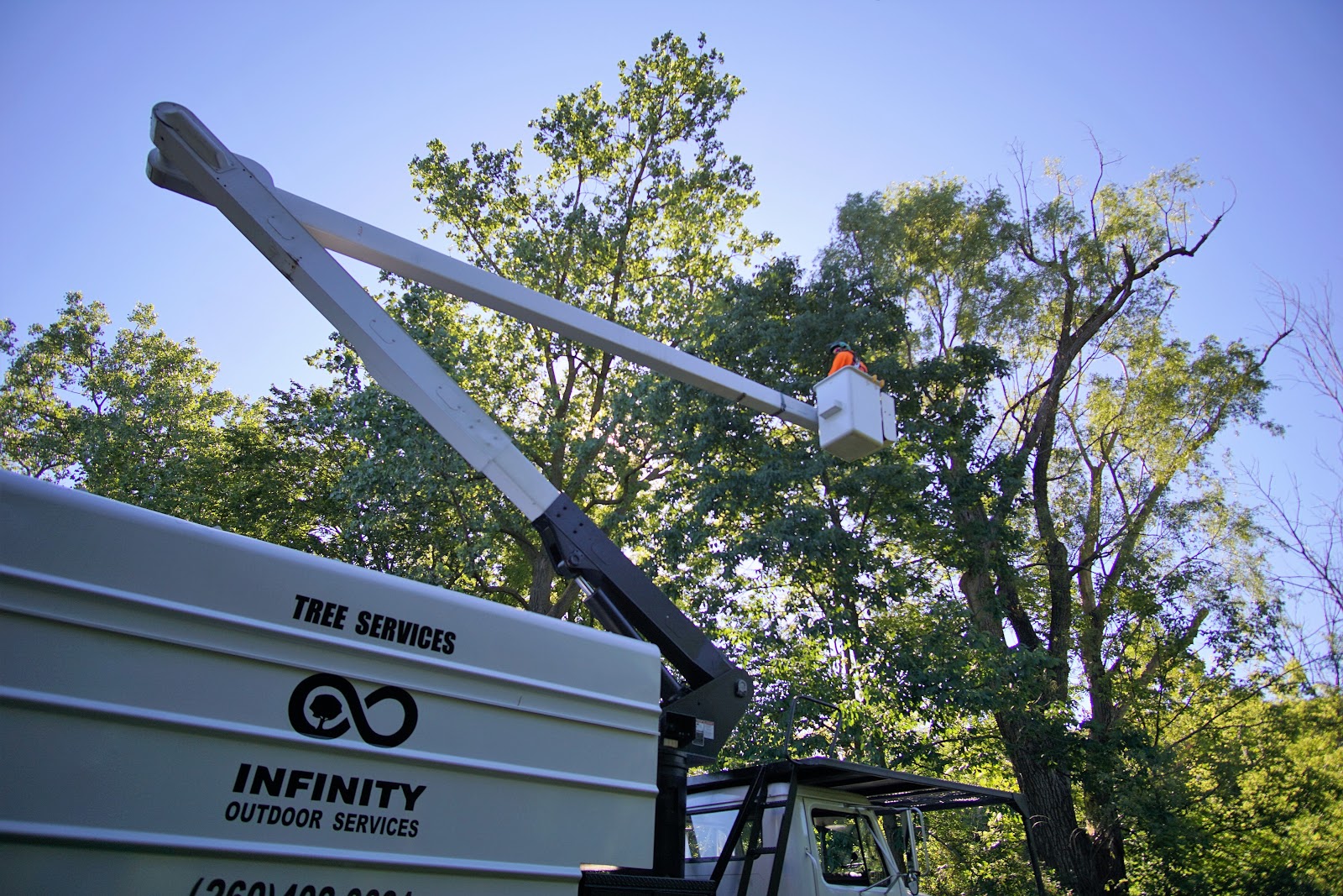 Infinity Outdoor Services | Tree Services Fort Wayne gallery 4