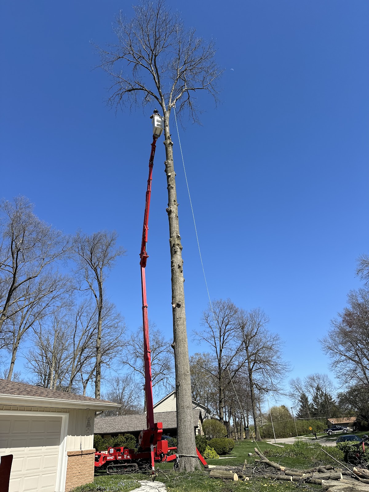 Infinity Outdoor Services | Tree Services Fort Wayne gallery 5