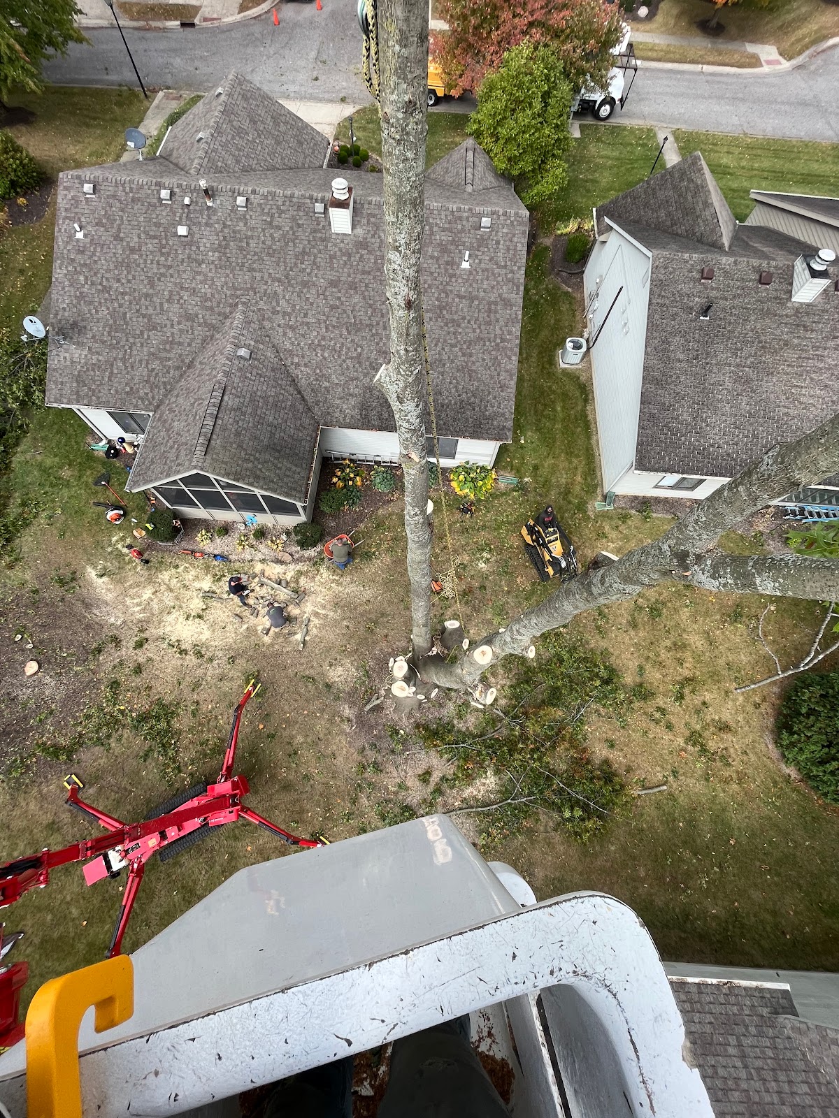 Infinity Outdoor Services | Tree Services Fort Wayne gallery 7