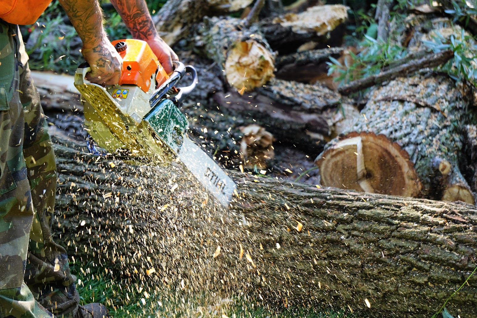 Infinity Outdoor Services | Tree Services Fort Wayne gallery 8