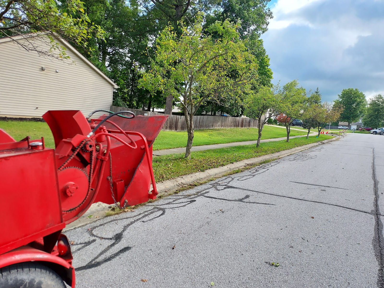 BUENA VISTA TREE SERVICE LLC gallery 6