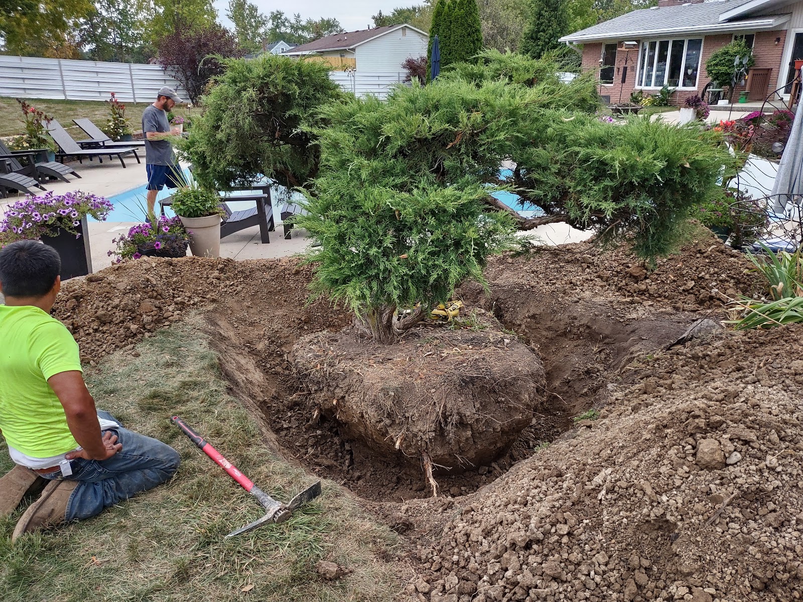 BUENA VISTA TREE SERVICE LLC gallery 7