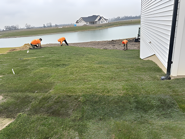 Herrera Lawn Care Service gallery 4