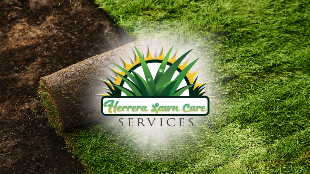 Herrera Lawn Care Service