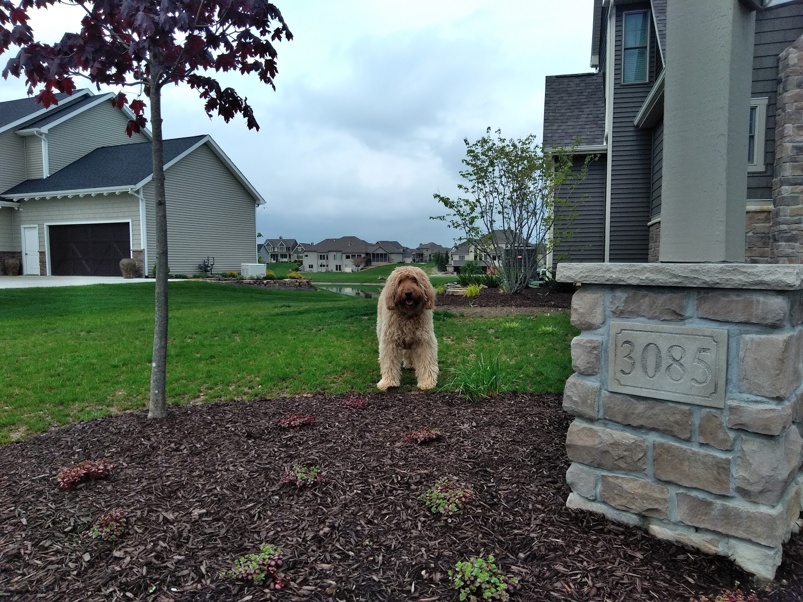 DogWatch of Northeast Indiana