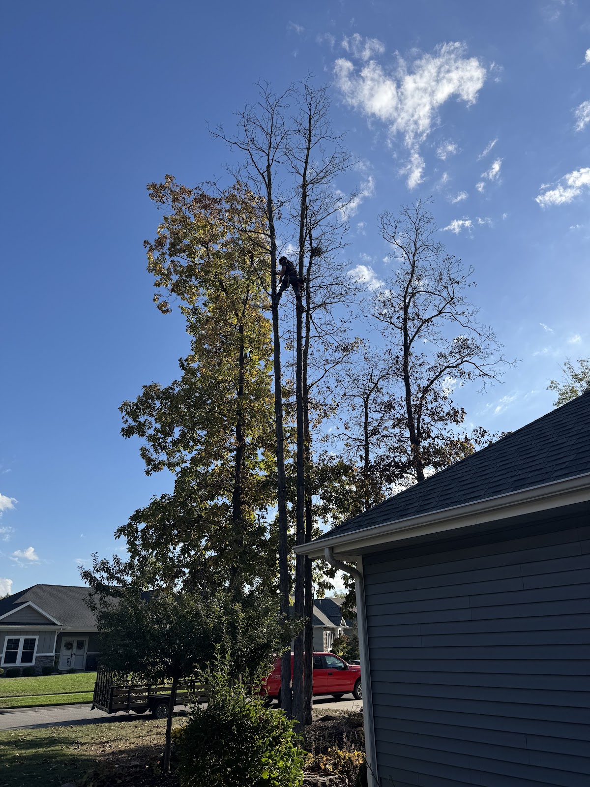 Barker's Tree Service gallery 3