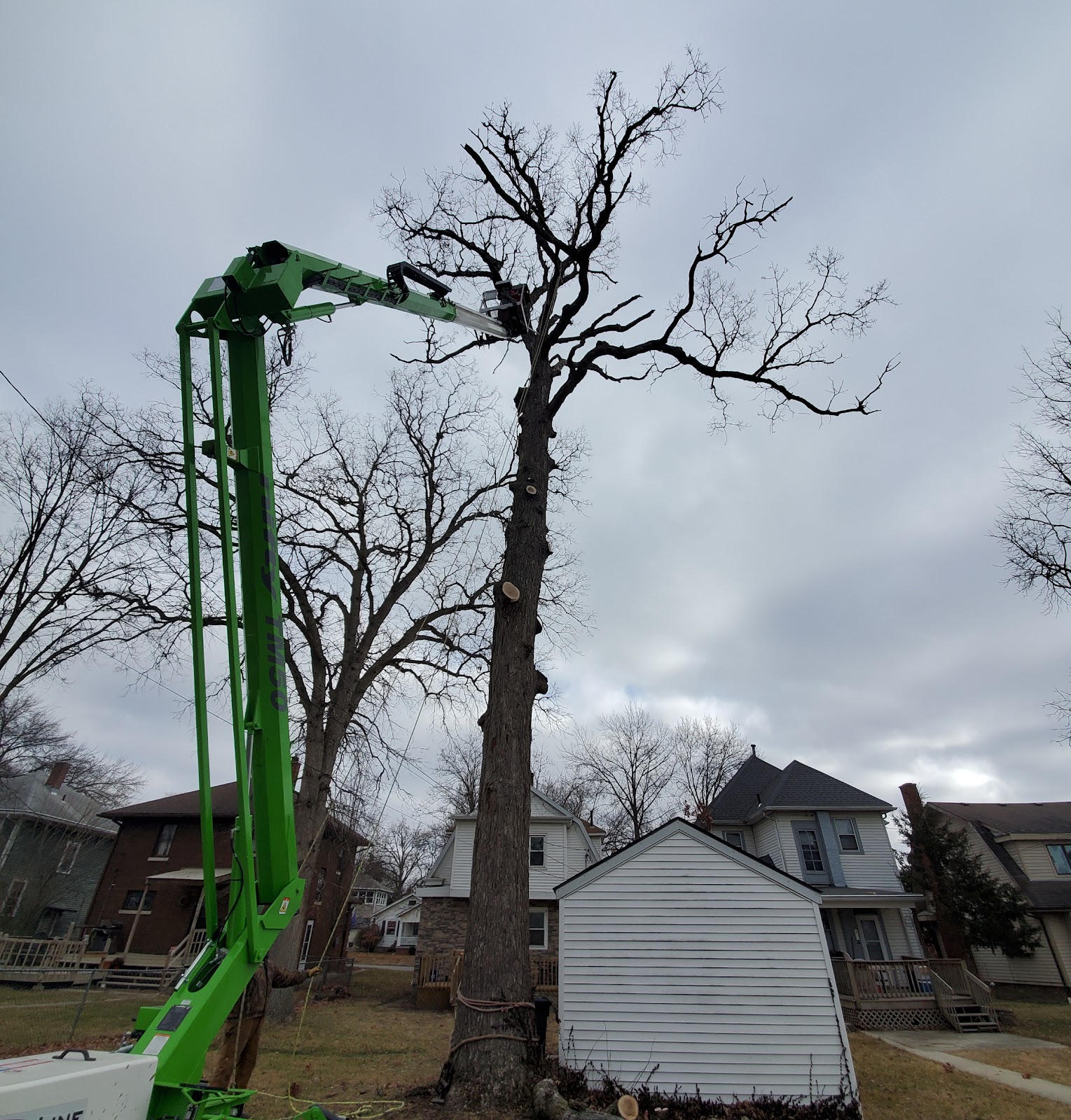Barker's Tree Service gallery 4