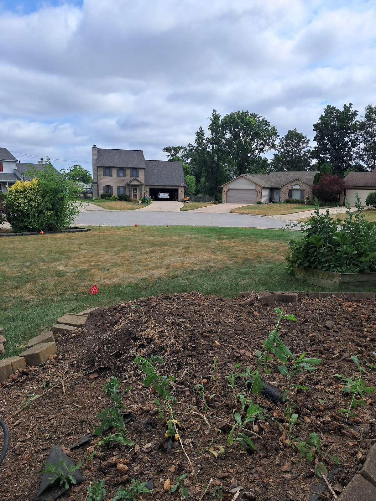 Barker's Tree Service gallery 6