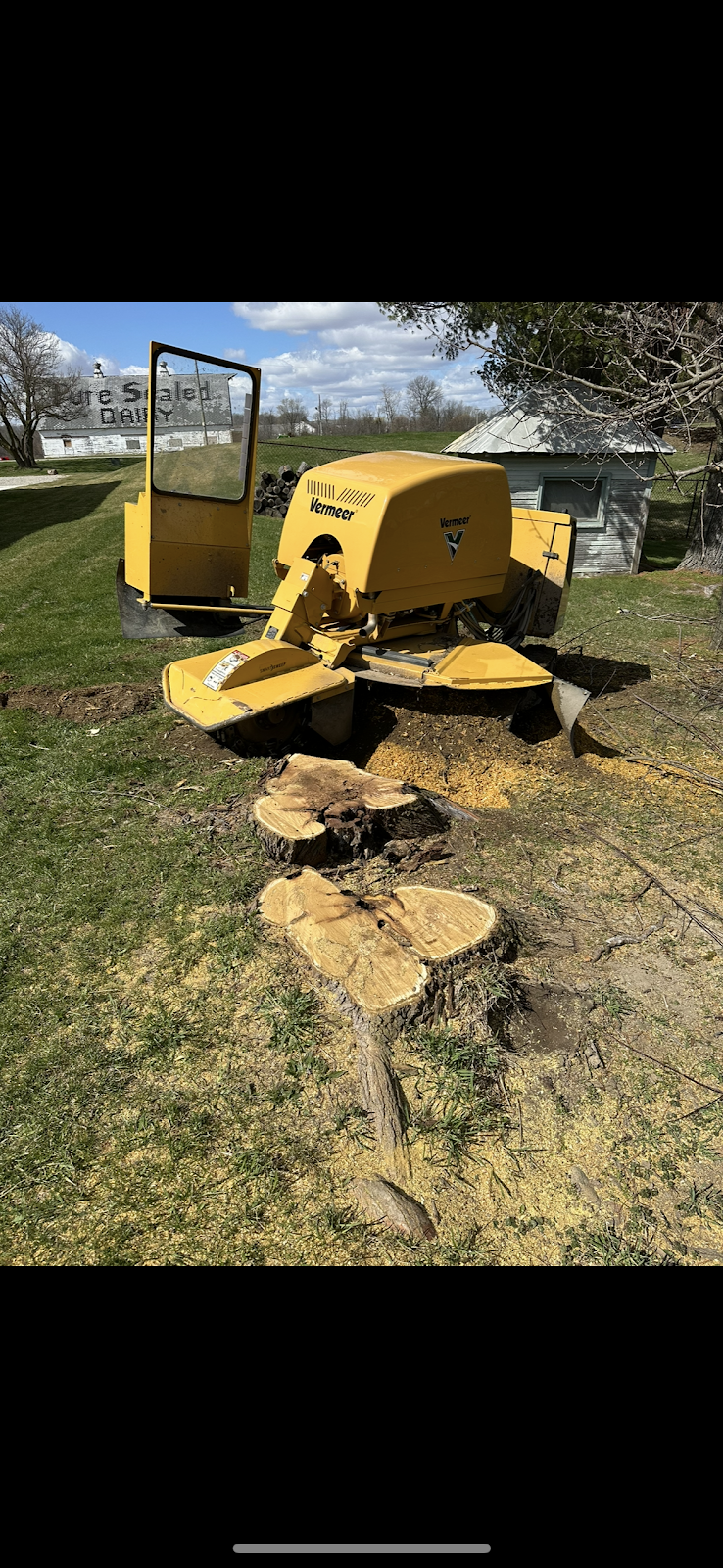 Barker's Tree Service gallery 7