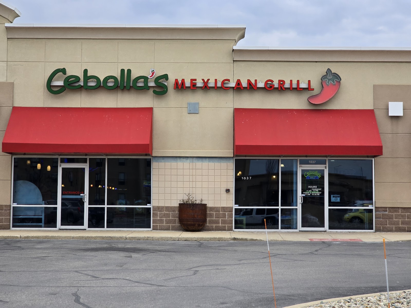 Cebolla's gallery 7