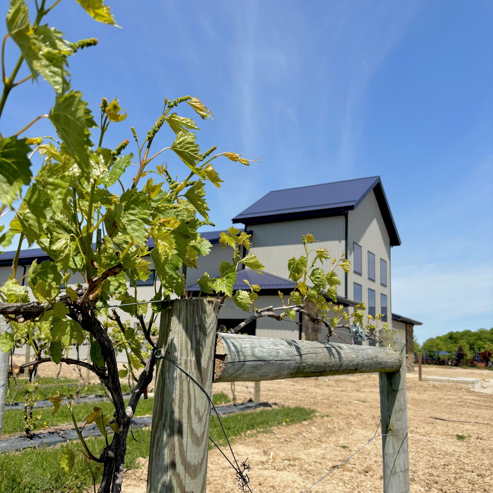 Country Heritage Winery gallery 7