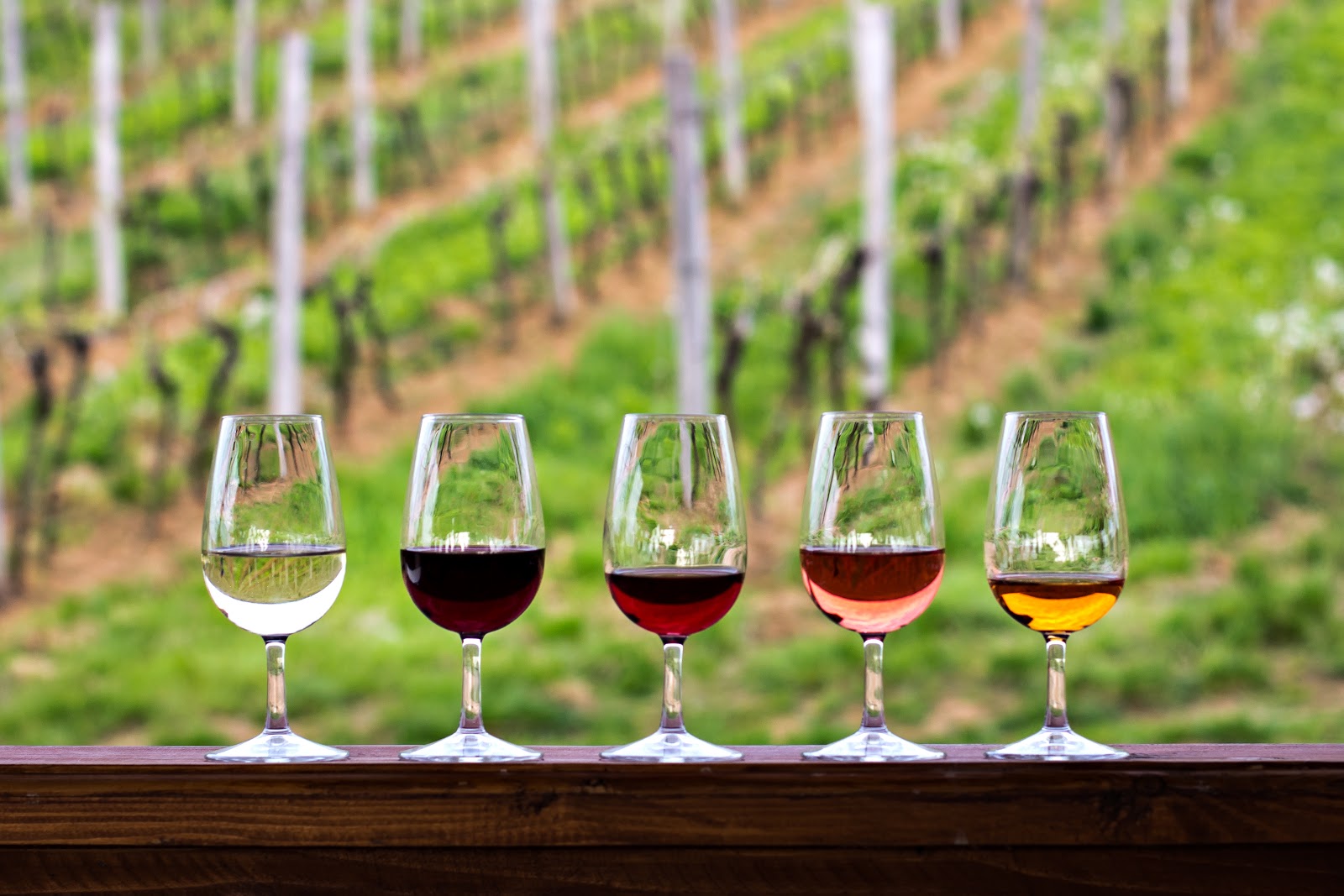 Acres Away Winery gallery 8