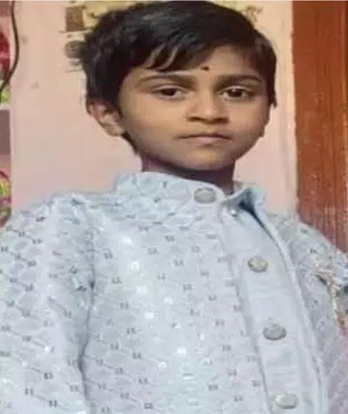 Boy Dies After Stray Dog Attack In Rajanna Sircilla