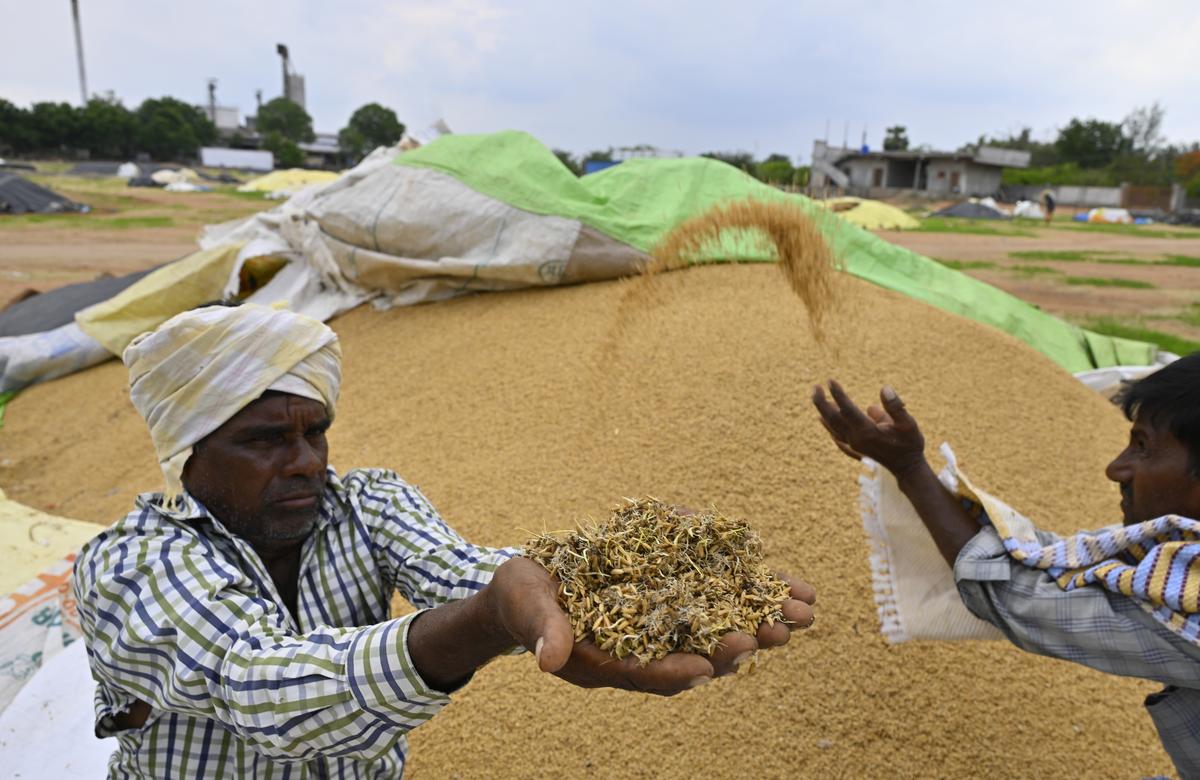 Paddy Procurement Delay Raises Concerns in Yasangi Season