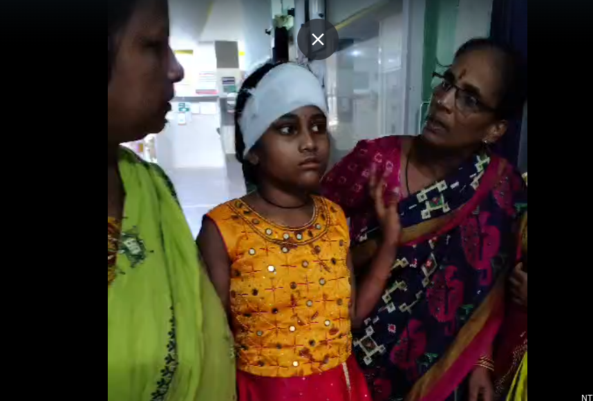 Dhvajastambham Accident in Sarapaka: Temple Pillar Collapse Injures Child and Woman During Ceremony