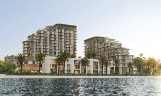 Mirasol 2