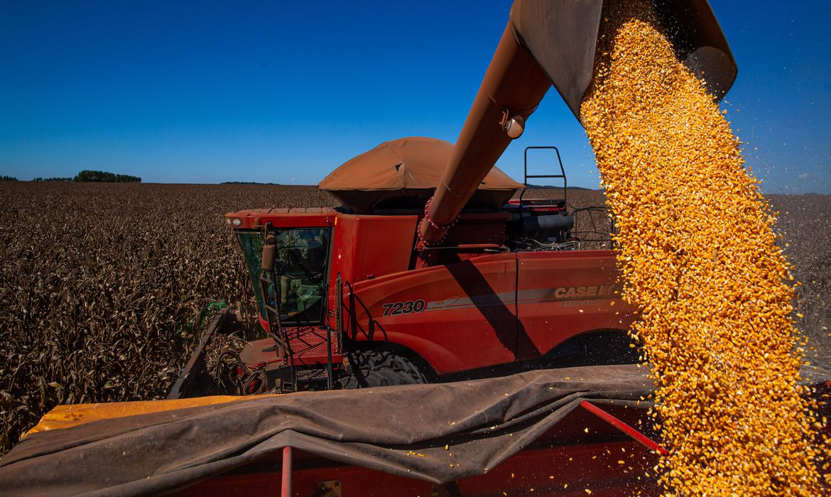 Produção de grãos deve atingir recorde de 354,5 milhões de toneladas em 2026, prevê IBGE