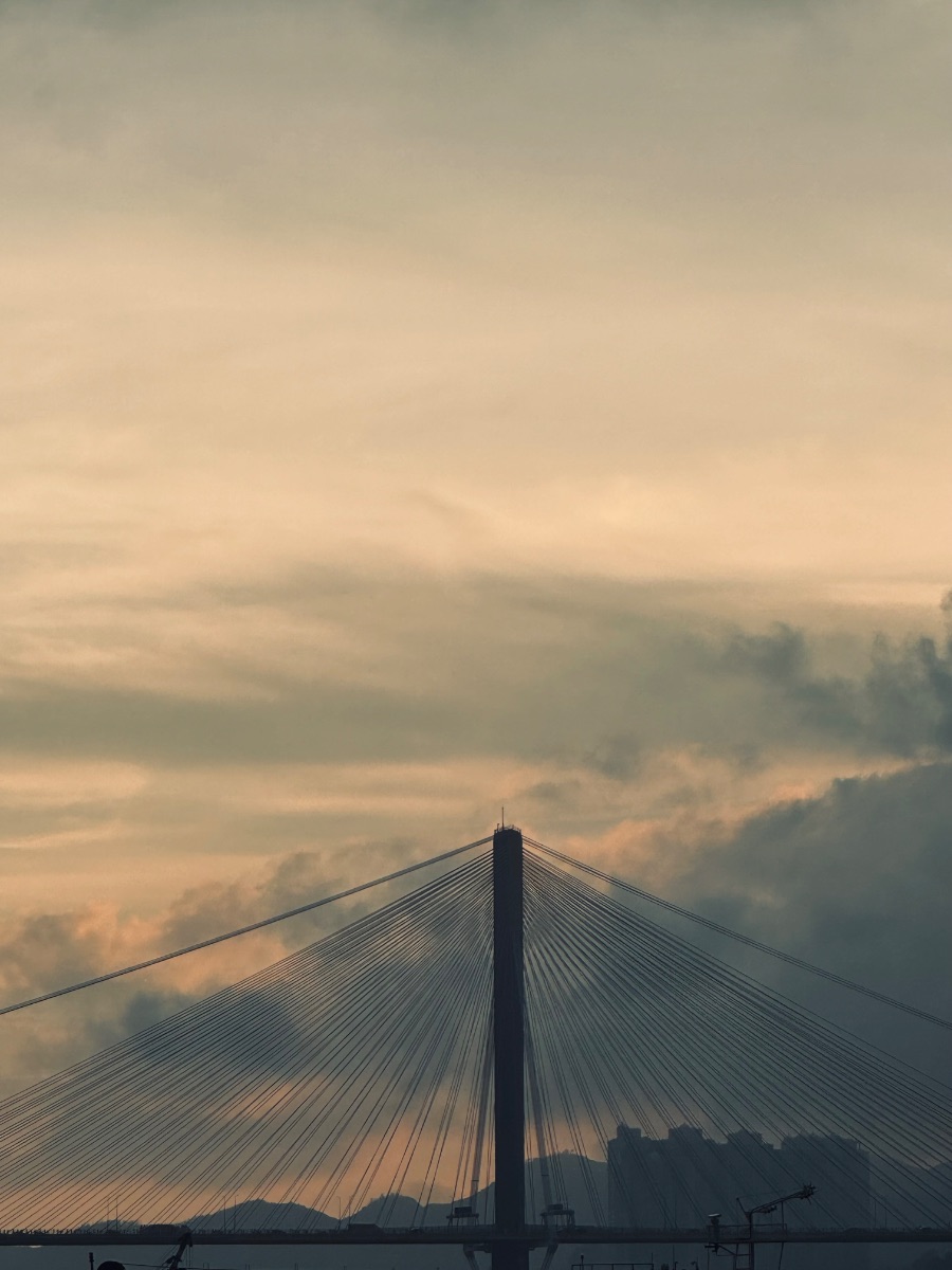 Tension & Balance: The Geometry of a Cable-Stayed Icon