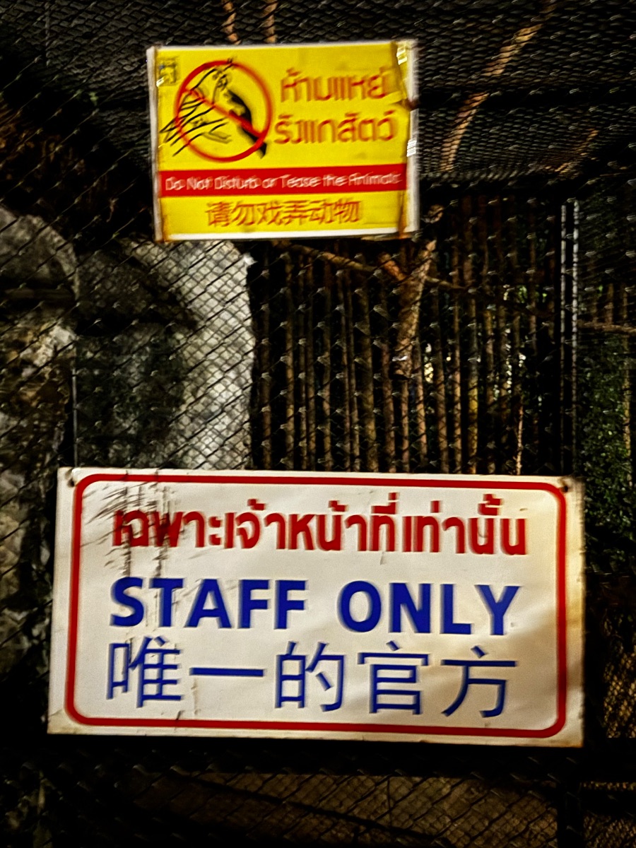 Lost in translation: "唯一的官方"