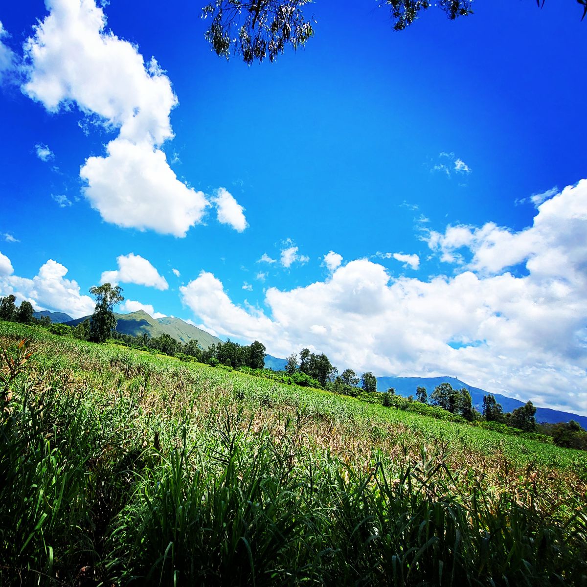 Breathe in the Beauty of Nature!