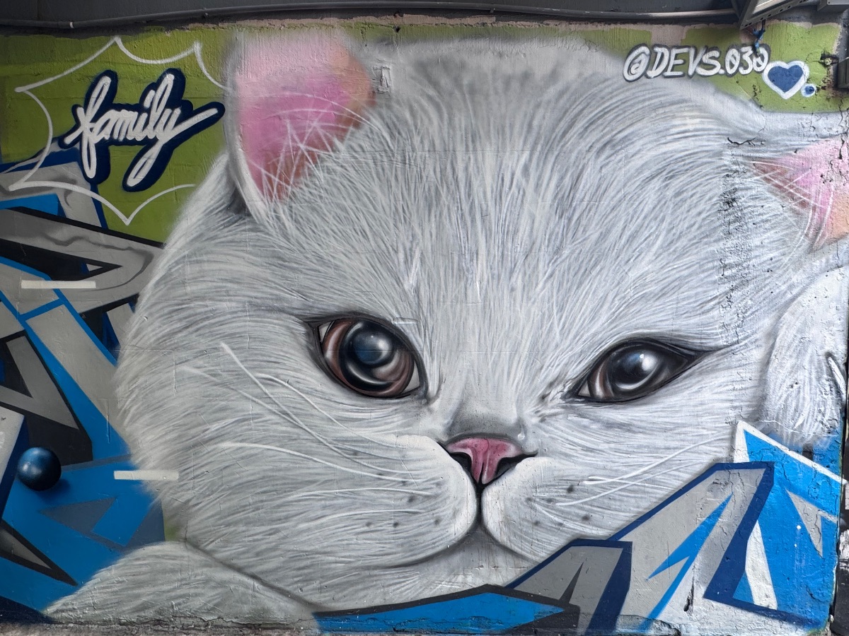 Urban canvas & raw spatial expression