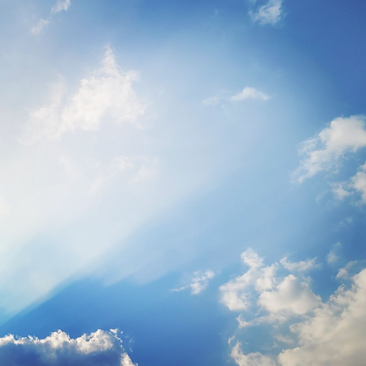 Chasing Blue Skies & Gentle Light