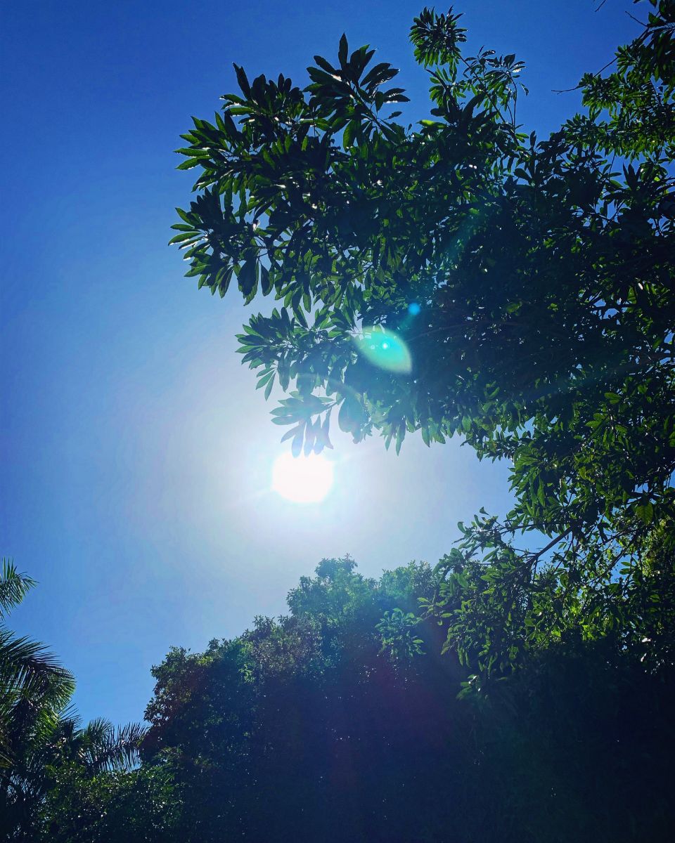 Sunbeams & Blue Skies