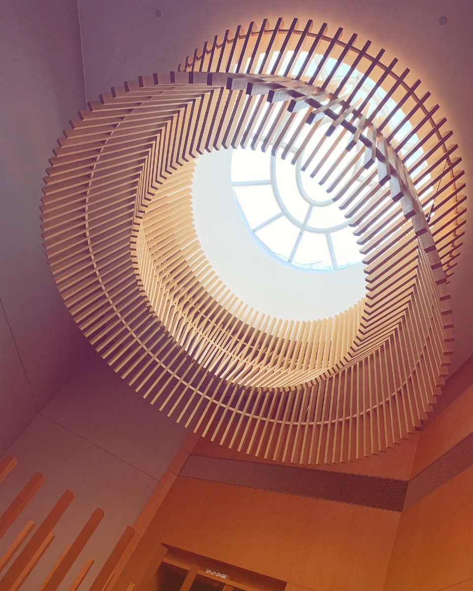 Someone drew a nautilus in timber and hung it from the sky