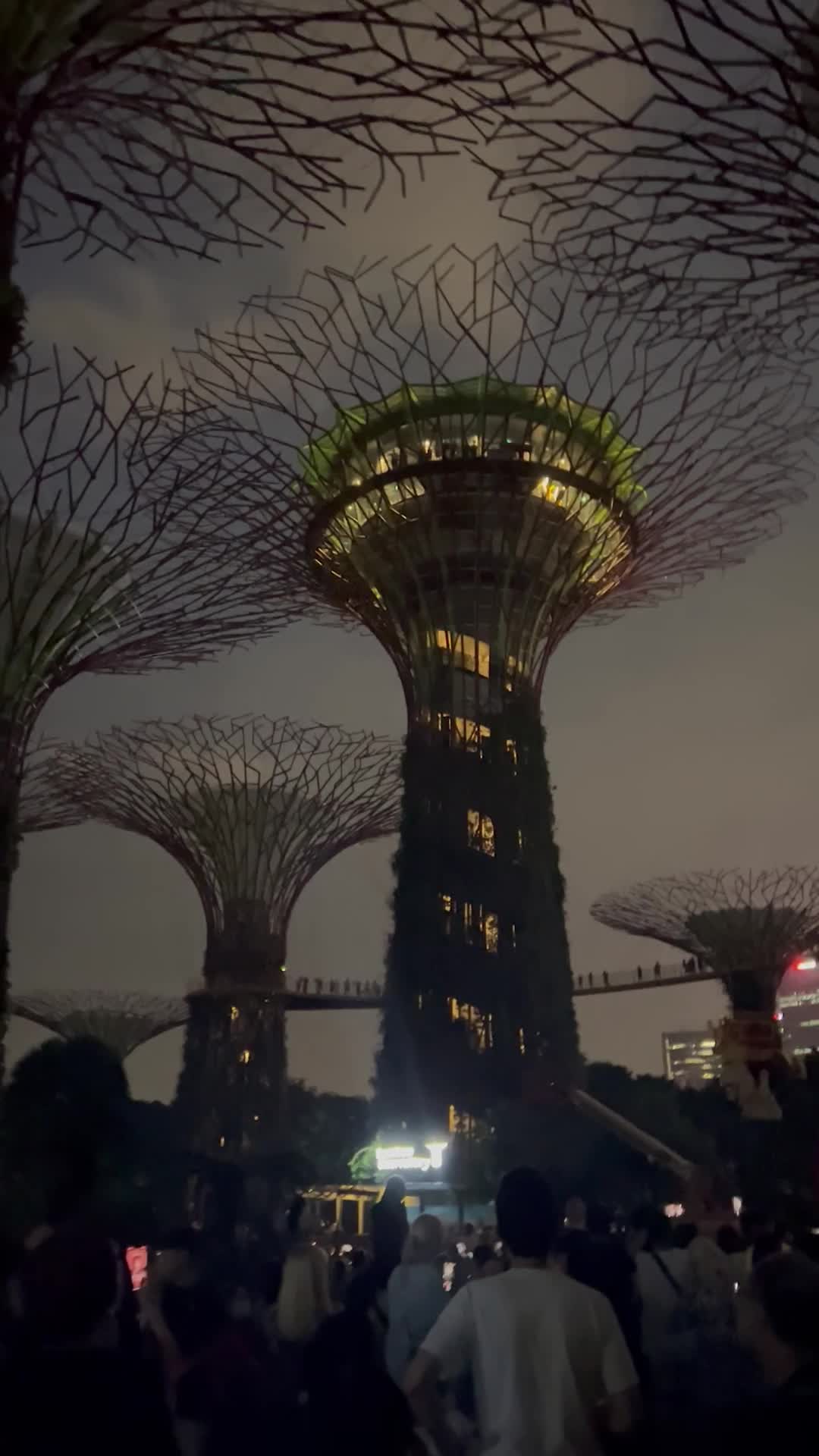 Singapore after dark: part forest, part spaceship