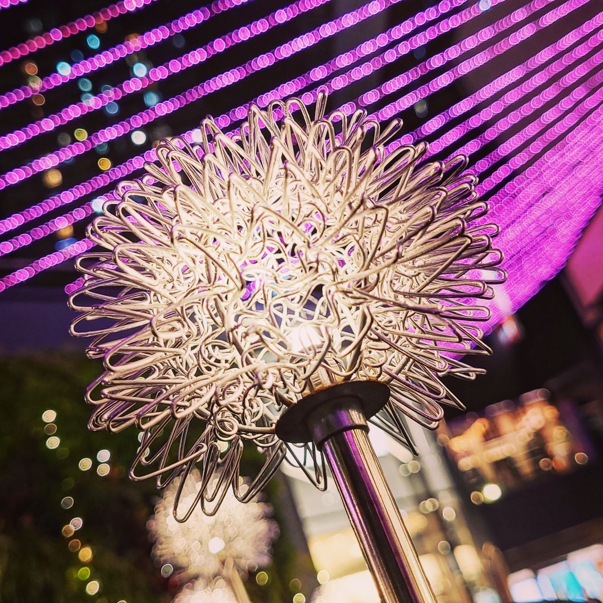 Neon Dreams & Wire Blooms
