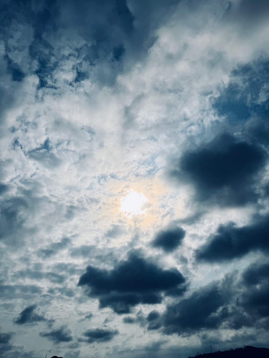 Microclimates and Natural Canopy