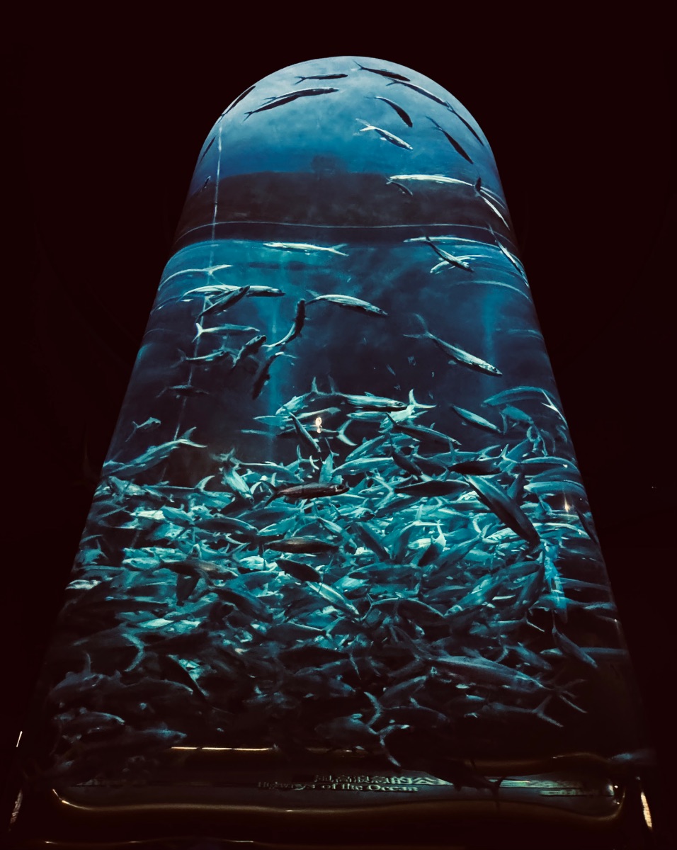 Mesmerized by the deep blue Lost in the crowd at HK Ocean Park