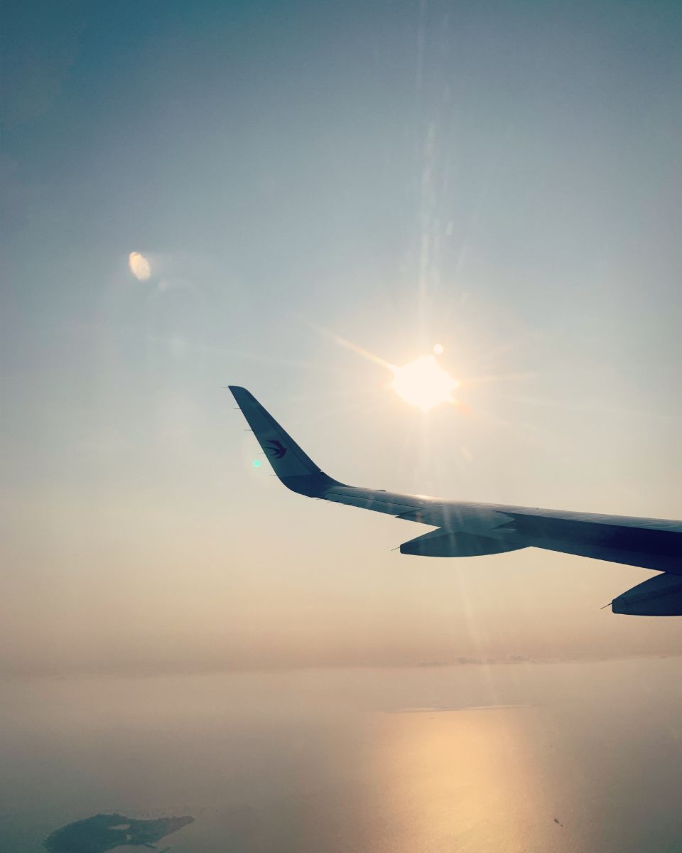 Groundbreaking Wing Pic Alert